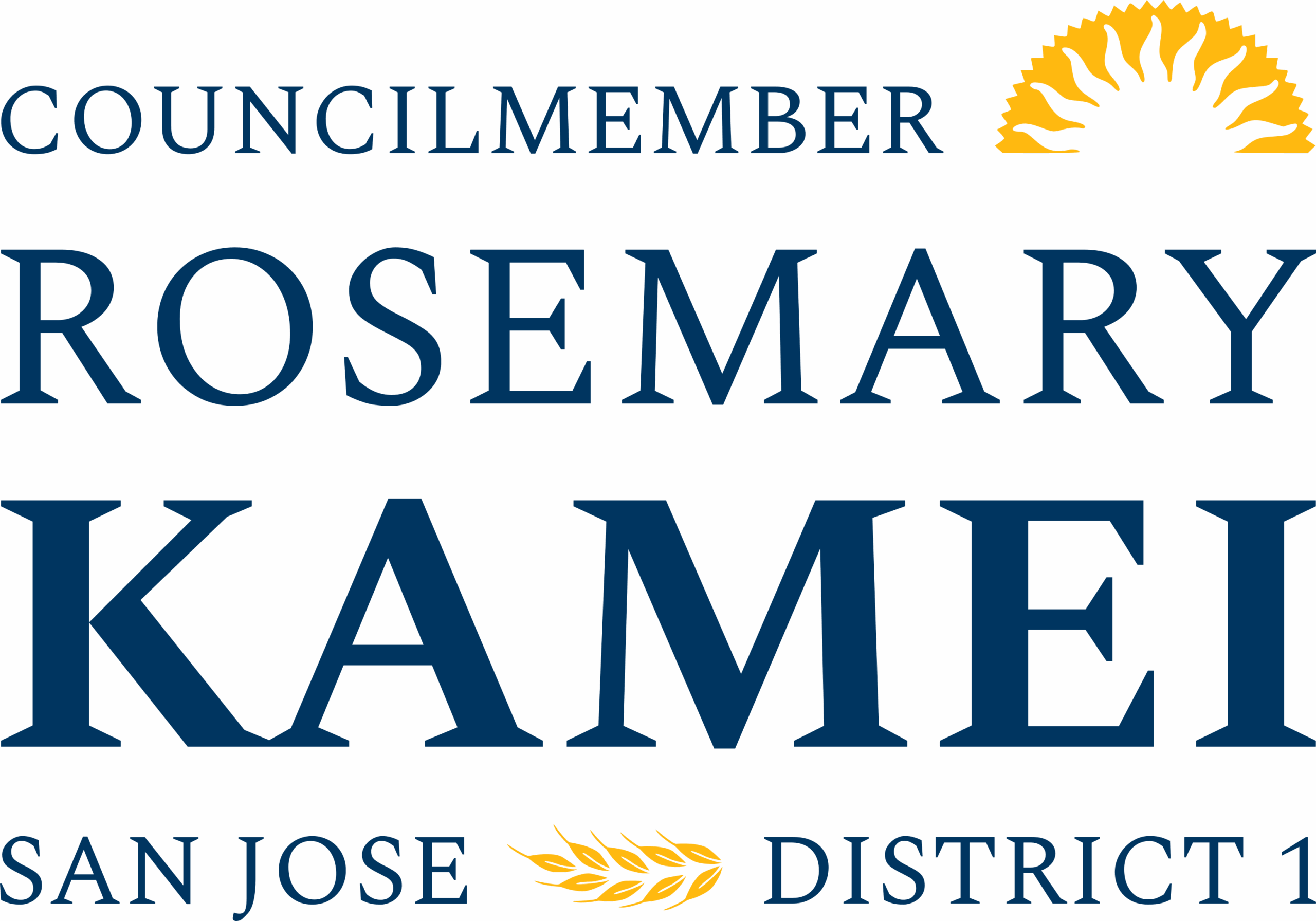 City of San José District 1